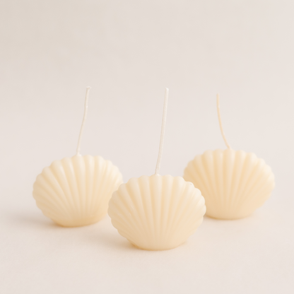 Three handmade clam decorative candle soywax in colour ivory. Customization options for wedding favors available for decorative candles in UAE at minoocandles dot com