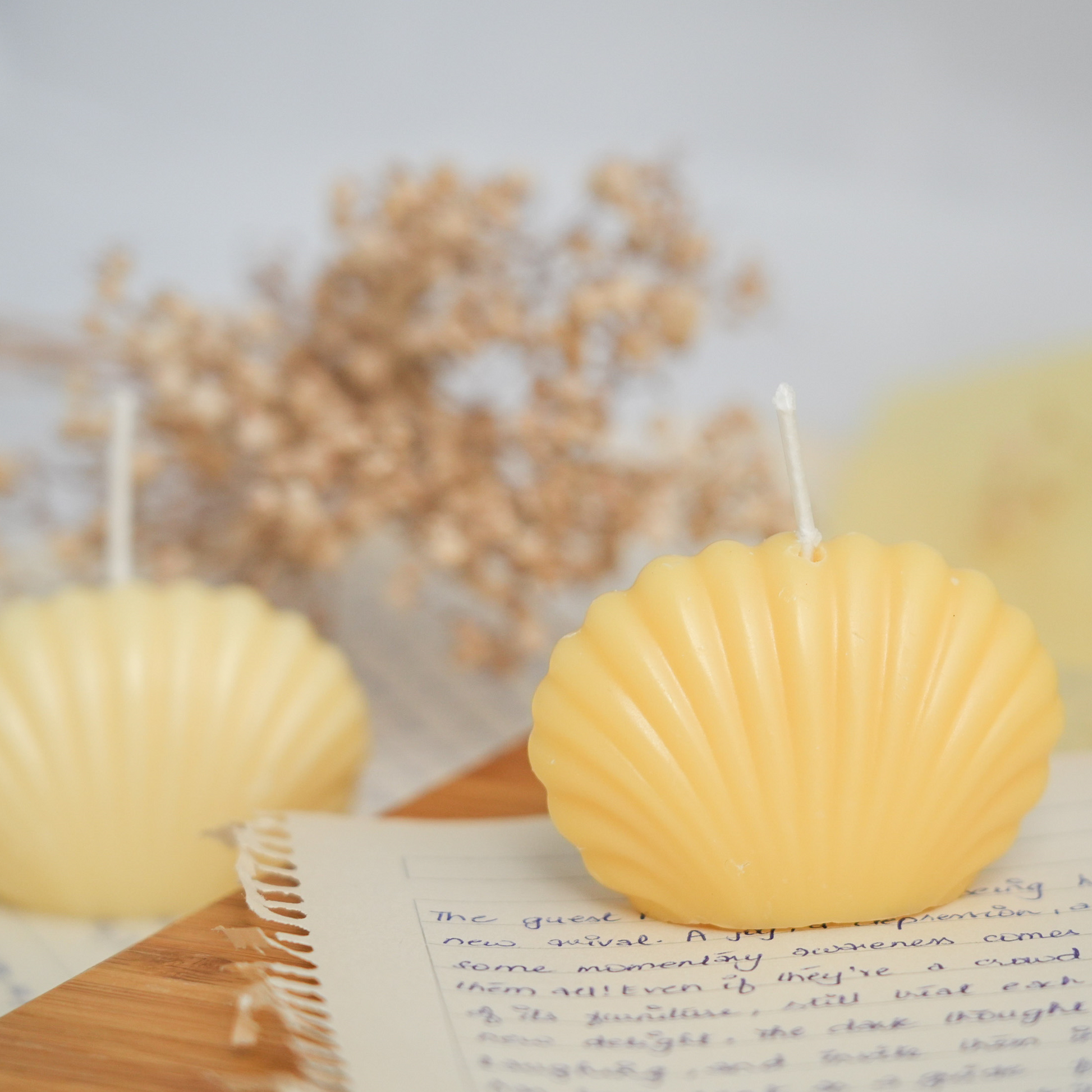 Handmade clam decorative candle soywax in colour yellow. Customization options for wedding favors available for decorative candles in UAE at minoocandles dot com