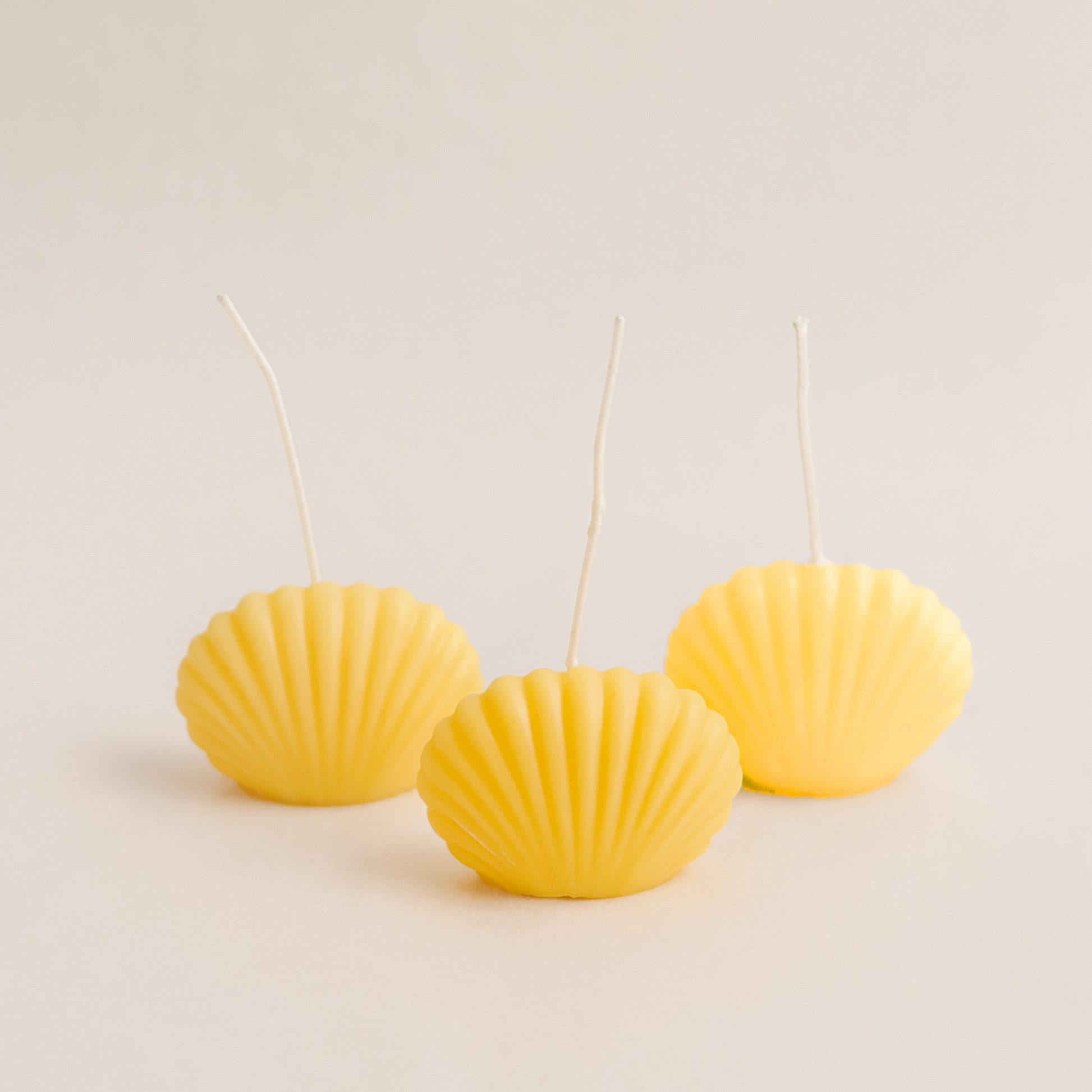 Three handmade clam decorative candle soywax in colour yellow. Customization options for wedding favors available for decorative candles in UAE at minoocandles dot com